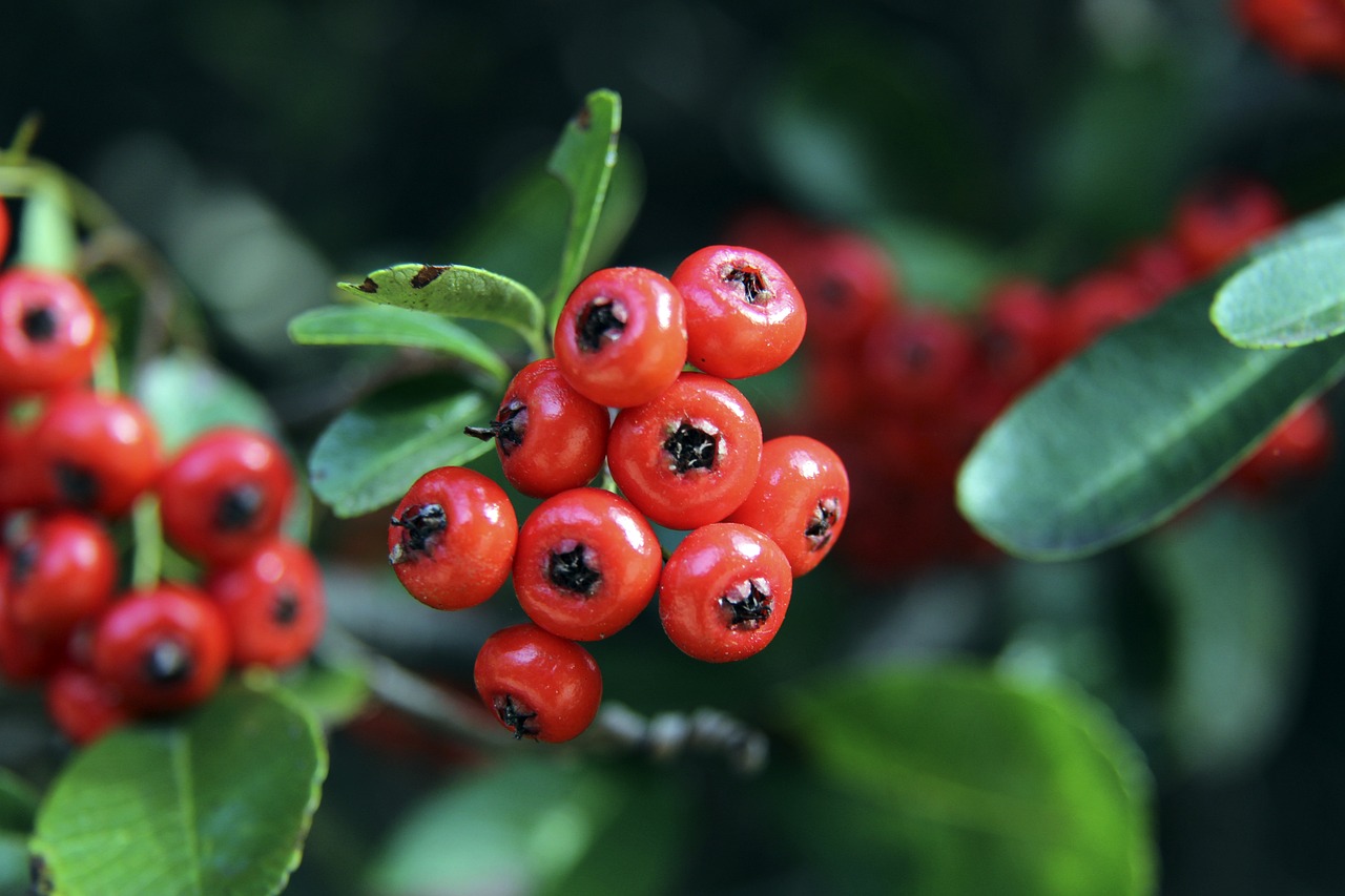 无疑是提高 无疑是提高