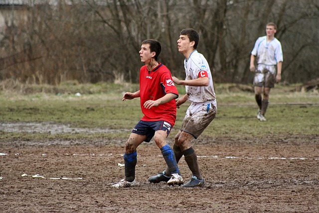 象征着爱情 象征着爱情